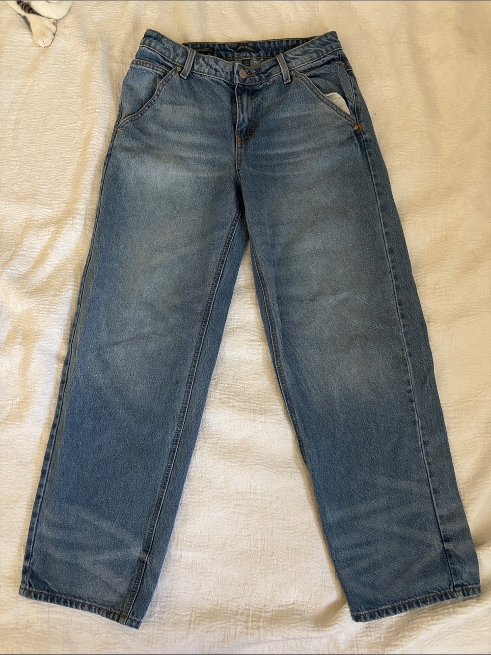 wild fable Straight Fit Jeans